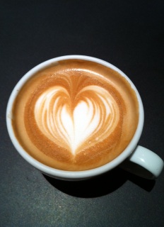 �悱�����ւ̋C����